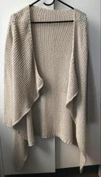 Gebreid vest maat S/M, Ophalen of Verzenden, Zo goed als nieuw, Maat 38/40 (M), Beige