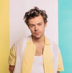 Harry styles platinum ticket vrijdag 22 mei, Tickets en Kaartjes, Concerten | Pop, Eén persoon, Mei