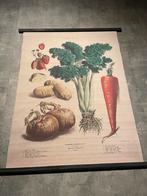 Nieuw!! Linnen wand doek, Ophalen of Verzenden, Zo goed als nieuw, Schilderij, 75 cm of meer