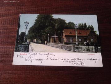 H33 - Leiden - Haagweg - 1905 - Mooi beschikbaar voor biedingen