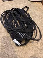 Dubbele longeerlijnen lammert haanstra, Ophalen of Verzenden