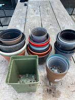 Plastic kweekpotten 12cm +, Ophalen, Gebruikt, Kweekbak