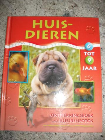 Titel: Huisdieren ontdek een boeiende wereld beschikbaar voor biedingen
