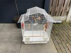 Vogelskooi, Dieren en Toebehoren, Vogels | Hokken en Kooien, Ophalen, Zo goed als nieuw, Metaal, Vogelkooi