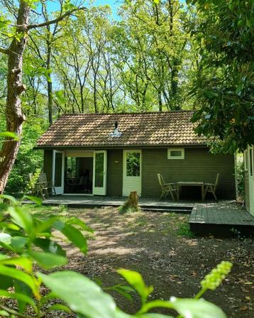 Vakantiehuis met sauna in Overijssel – Rust & natuur 2-5pers beschikbaar voor biedingen