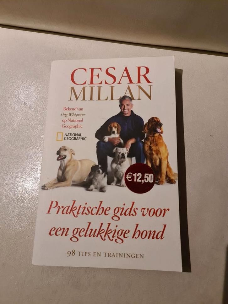 Cesar Millan - Opvoedkundig Advies voor Honden, Boeken, Dieren en Huisdieren, Gelezen, Honden, Ophalen of Verzenden
