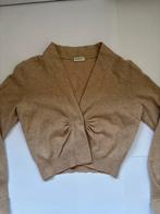 Kort beige Rivamonti vestje mt S Lana wol zijde en alpaca, Kleding | Dames, Truien en Vesten, Ophalen of Verzenden, Zo goed als nieuw