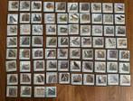 Complete serie vogels Nederland - 74 stuks, Ophalen of Verzenden, Na 1940, Postfris