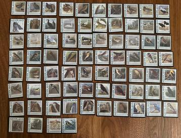 Complete serie vogels Nederland - 74 stuks beschikbaar voor biedingen