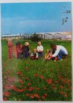 Oude ansichtkaart Nes Ammim, Israël., Ophalen, 1980 tot heden, Ongelopen, Buiten Europa