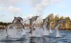 Dolfinarium ticket, Tickets en Kaartjes, Eén persoon, Overige typen