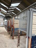 Te koop paardenboxen, Dieren en Toebehoren