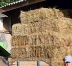 Kleine pakken hooi. Oogst 2025 en vrij van onkruid., Dieren en Toebehoren, Dierenvoeding, Ophalen, Vee