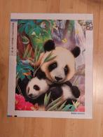 Diamond painting schilderij papegaai  en panda, Ophalen, Nieuw, Knutselwerk