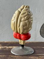 Oud zeldzaam model Phywe gips hersens hond, Antiek en Kunst, Curiosa en Brocante, Ophalen of Verzenden