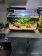 Superfish Qubic 40, Ophalen, Leeg aquarium