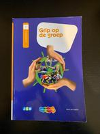 Pabo (deeltijd): Grip op de groep, Ophalen of Verzenden, Alpha, Zo goed als nieuw, HBO