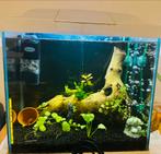 30L Aquarium for Sale – Complete Setup with Accessories, Ophalen of Verzenden, Zo goed als nieuw, Leeg aquarium