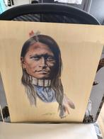 Posters indianen 15 stuks, Ophalen of Verzenden, Zo goed als nieuw, A1 t/m A3, Overige onderwerpen
