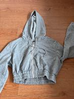 Grijze vest, Kleding | Dames, Maat 38/40 (M), Ophalen of Verzenden, Zo goed als nieuw, Grijs