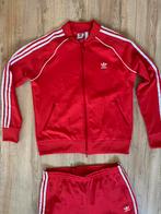 Prachtige nieuwe originele Adidas trainingspak in maat 46, Kleding | Heren, Nieuw, Ophalen of Verzenden, Adidas, Maat 46 (S) of kleiner