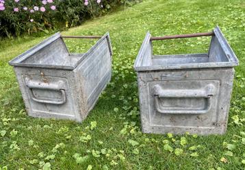 Curiosa beschikbaar voor biedingen