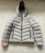 SUPERDRY Winter Jas NIEUW, Ophalen, Superdry, Nieuw, Maat 36 (S)