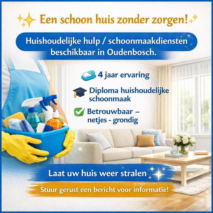 Huishoudelijke Hulp, Huis en Inrichting, Schoonmaakartikelen, Schoonmaakmiddel, Verzenden
