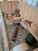 Grote hamsterkooi met dwerghamster, Ophalen, Minder dan 75 cm, Kooi, Minder dan 60 cm