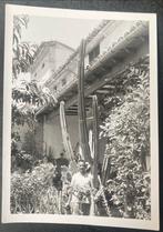 Man, Cactus, 1966 Foto ( waarschijnlijk Nederlands Indië), Verzamelen, Gebruikt, Verzenden, Foto, Natuur