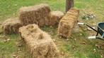 GRATIS Hooibalen 5 stuks, Dieren en Toebehoren, Dierenvoeding, Ophalen of Verzenden, Vee