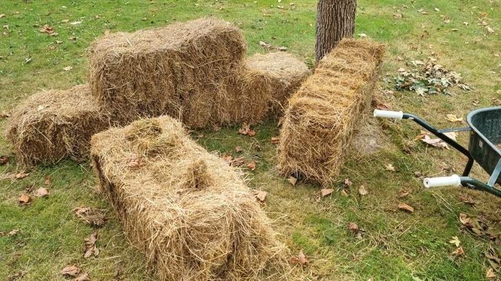 GRATIS Hooibalen 5 stuks, Dieren en Toebehoren, Dierenvoeding, Vee, Ophalen of Verzenden