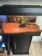 Aquarium 65 liters met kast en toebehoren wortel met planten, Ophalen, Zo goed als nieuw, Leeg aquarium