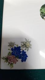 Wandtegel met afbeelding 4x boeket bloemen met edelweiss op, Huis en Inrichting, Woonaccessoires | Schilderijen, Tekeningen en Foto's