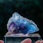 fluoriet uit Illinois, USA #1, Ophalen of Verzenden, Mineraal