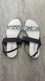 Sandalen, maat 39, slangenprint, zwart/wit, nieuw, Kleding | Dames, Schoenen, Wit, Nieuw, Sandalen of Muiltjes, Ophalen of Verzenden