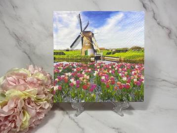 11x Knutsel servetten - molen en tulpen - nr 388 decoupage  