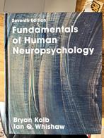 Fundamentals of human neuropsychology, Boeken, Studieboeken en Cursussen, Ophalen of Verzenden, Beta, Zo goed als nieuw, WO