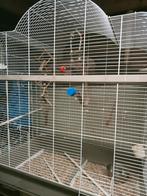 Grote iMac gineva taupe wit vogel kooi xl, Dieren en Toebehoren, Vogels | Hokken en Kooien, Ophalen, Zo goed als nieuw, Metaal