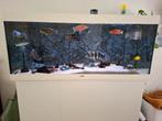 aquarium juwel rio 450 groot, Ophalen, Gebruikt, Gevuld zoetwateraquarium