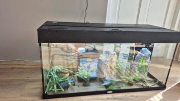 Mooie juwel rio 180 aquarium met toebehoren beschikbaar voor biedingen