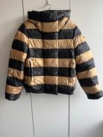 Goldbergh Ski Jas maat 40 dazzle goud zwart, Goldbergh, Ophalen of Verzenden, Zo goed als nieuw, Maat 38/40 (M)