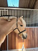 Biothane Kaptom ByBaukje, Ophalen of Verzenden, Nieuw, Overige soorten