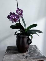 Vintage Grespot met Oortjes, Ophalen of Verzenden