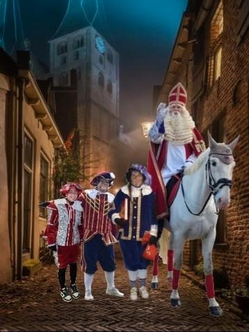 Sinterklaas en zijn Pieten op bezoek  beschikbaar voor biedingen