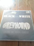 Single black and white Greyhound, Cd's en Dvd's, Overige formaten, Ophalen of Verzenden, Zo goed als nieuw, Poprock