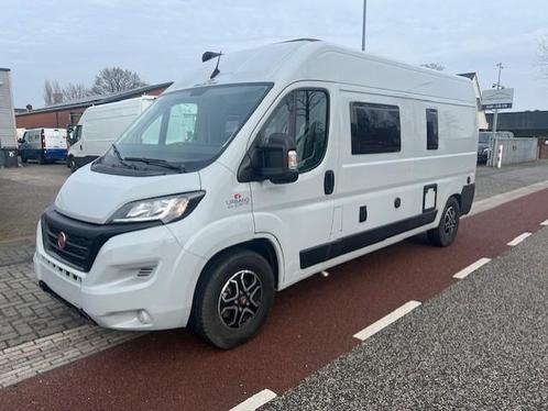 ROLLER team LIVINGSTONE 5 BUSCAMPER KLIMA AUTOMAAT, Fiat DUC, Caravans en Kamperen, Campers, Bedrijf, Bus-model, tot en met 4