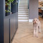 Vloeren van hoge kwaliteit voor een betaalbare prijs!, Overige typen, Nieuw, Ophalen of Verzenden, 50 tot 75 m²