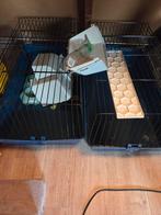 2 cavia kooien met toe behoren, Dieren en Toebehoren, Kooi, Zo goed als nieuw, 75 tot 110 cm, Cavia