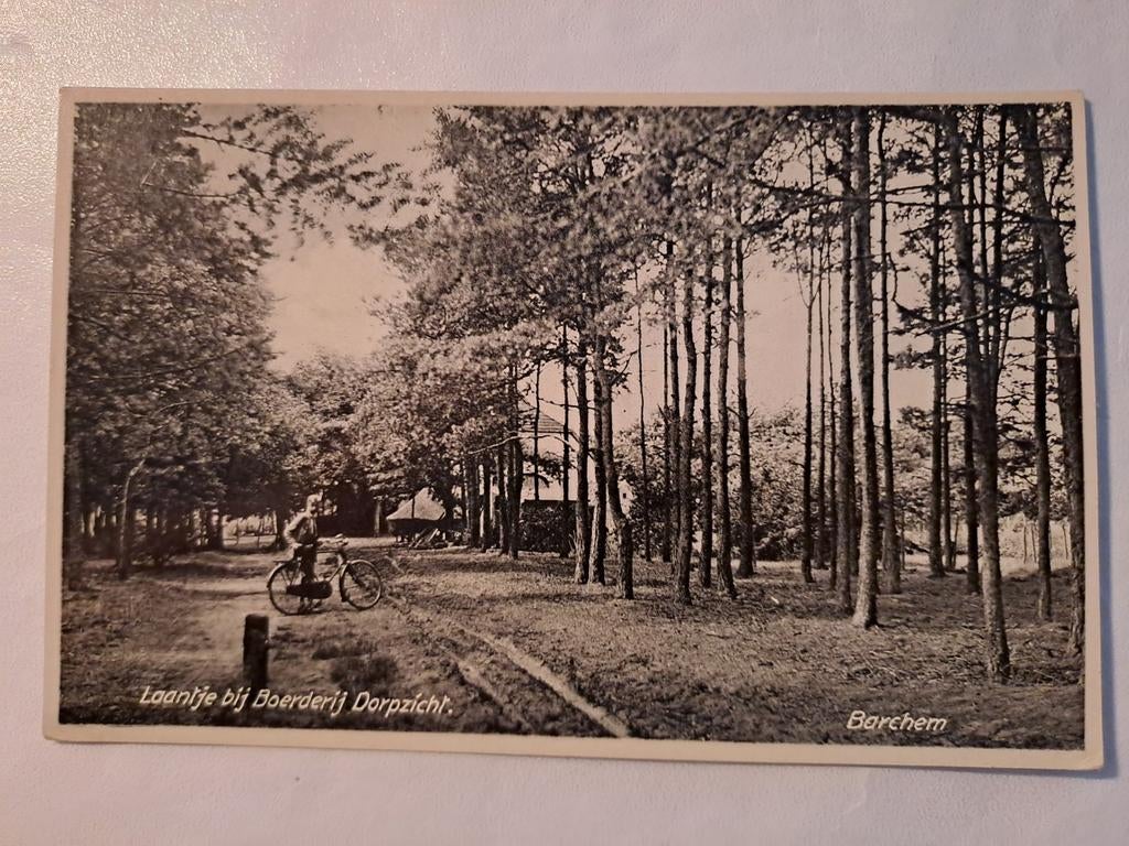 Barchem,  Boerderij  Dorpsgezicht, Ophalen of Verzenden, Drenthe